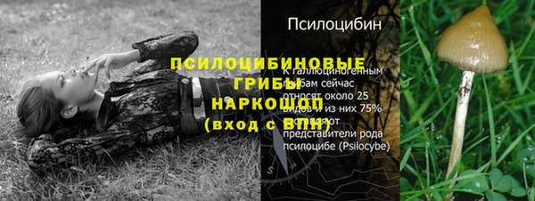 каннабис Алексин