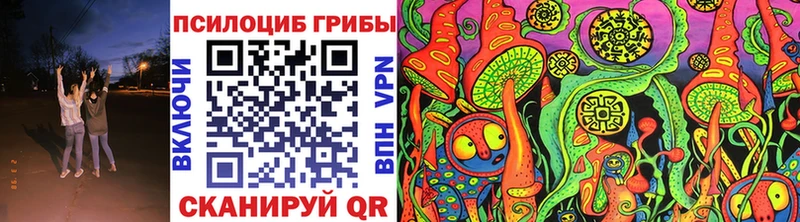 продажа наркотиков Комсомольск Псилоцибиновые грибы Cubensis